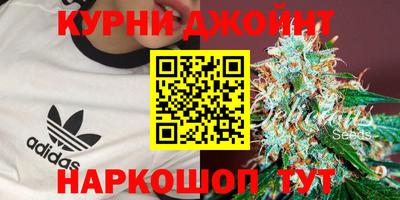 jwh Будённовск