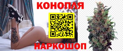 jwh Будённовск