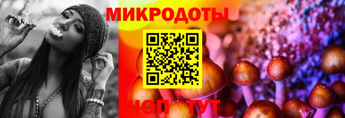 наркота  Галлюциногенные грибы MAGIC MUSHROOMS  Сердобск  Вход с VPN  Псилоцибиновые грибы мицелий 